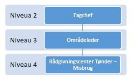 Den organisatoriske ledelsesstruktur ved Rådgivningscenter Tønder - Misbrug