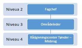 Den organisatoriske ledelsesstruktur ved Rådgivningscenter Tønder - Misbrug